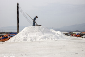 The Salt Fields
