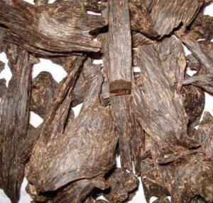 Agarwood-Discover nha trang-