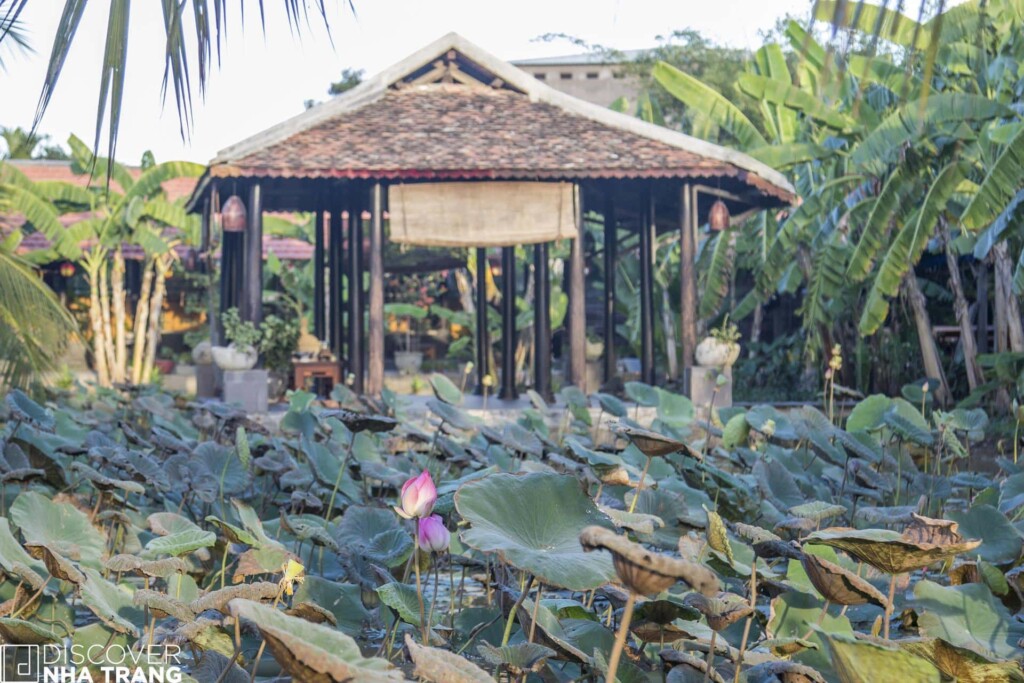 Sen Thien Quan Restaurant Nha Trang