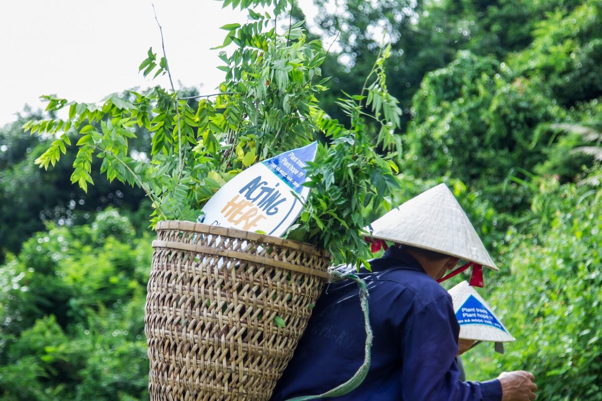 novotel-nha-trang-planting-day-2