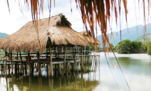 stork-lake-nha-trang3