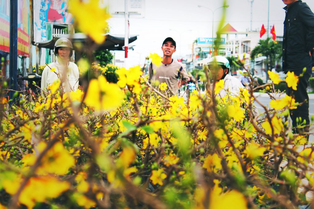 Spring Flower Festival Nha Trang